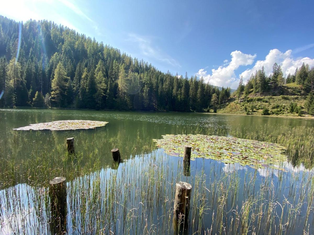 Traumhaus Flattnitz Daire Dış mekan fotoğraf